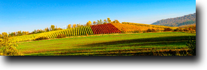 Geisberg im Herbst