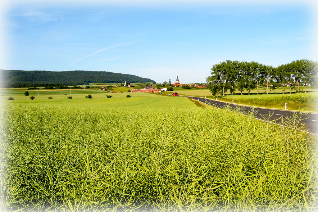 Die Rüdenhäuser Straße nach Wiesenbronn