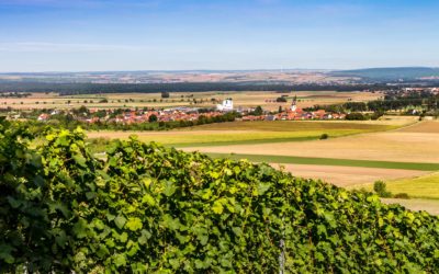 Wiesenbronn Traumrunden