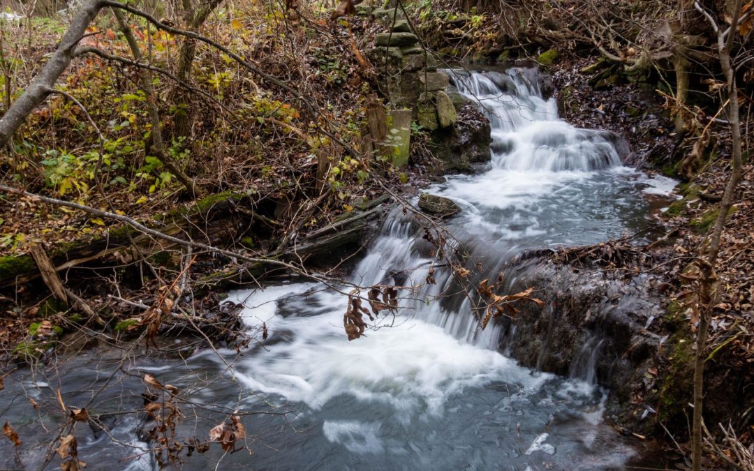 Hochwasserschützer